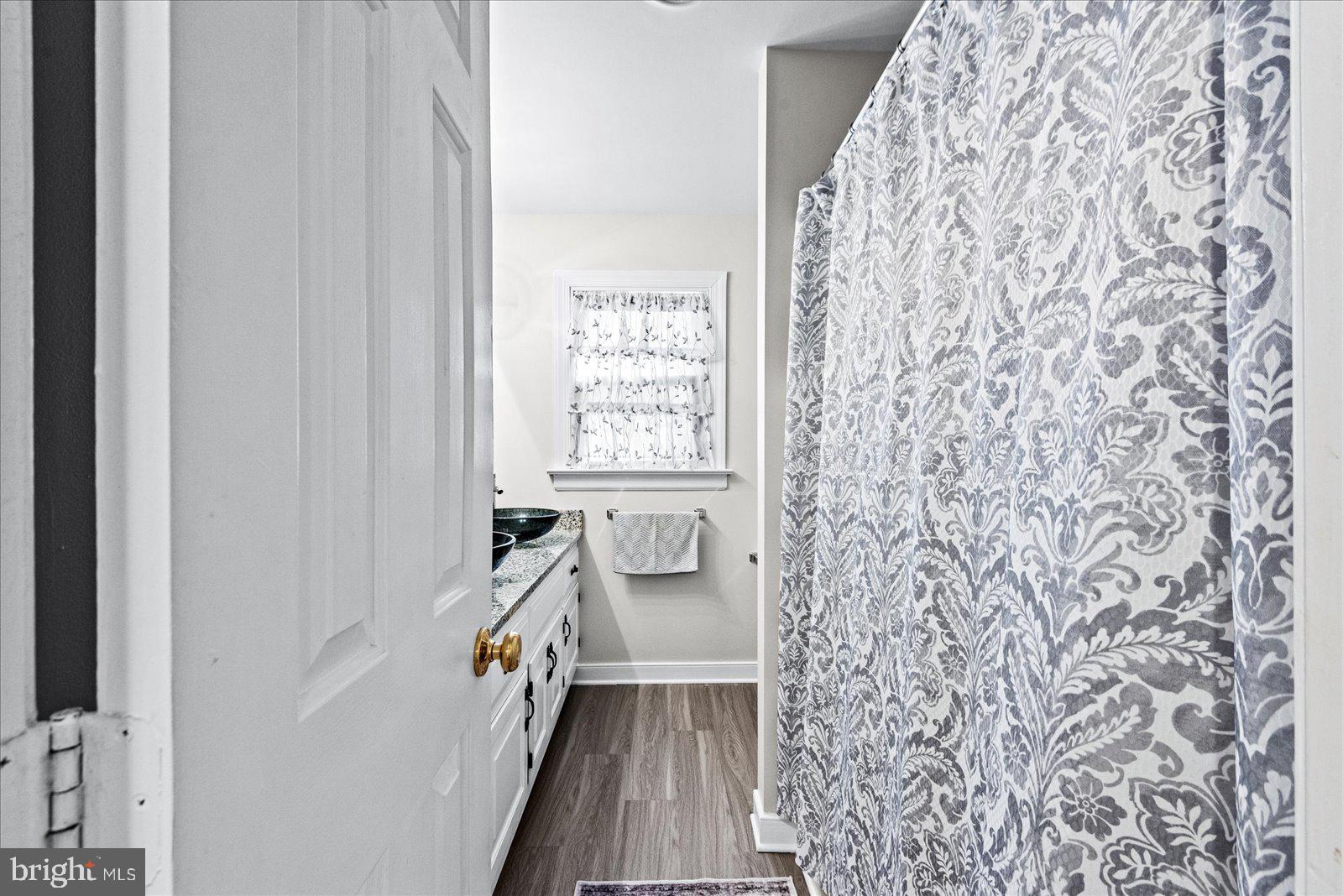 16211 Parrish Farm Road Montpelier, VA 23192 - Photo 31 of 52 Hall bathroom