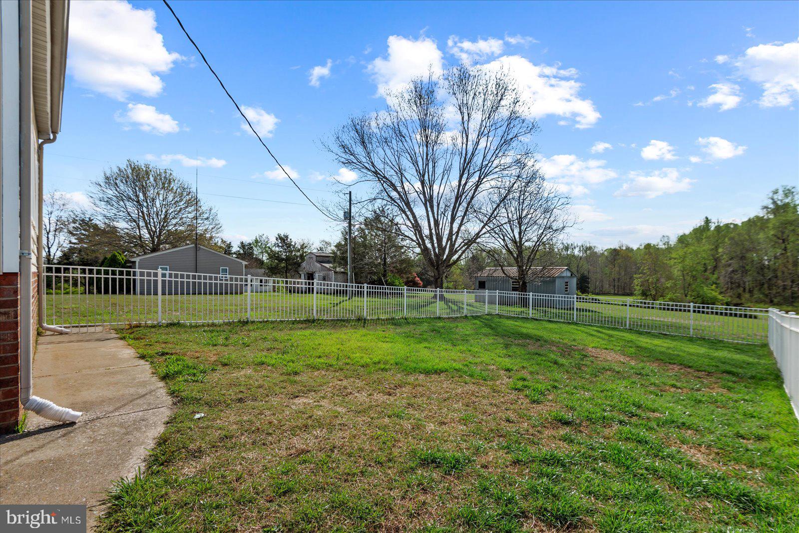 16211 Parrish Farm Road Montpelier, VA 23192 - Photo 39 of 52 Spacious yard with serene views.