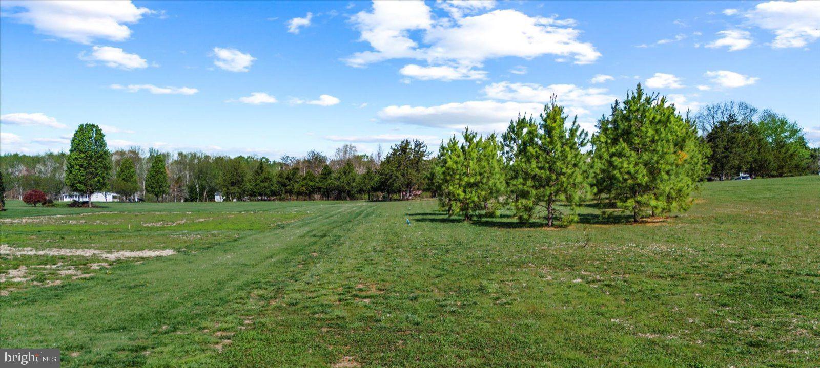 16211 Parrish Farm Road Montpelier, VA 23192 - Photo 40 of 52 Serene green landscape under blue skies.