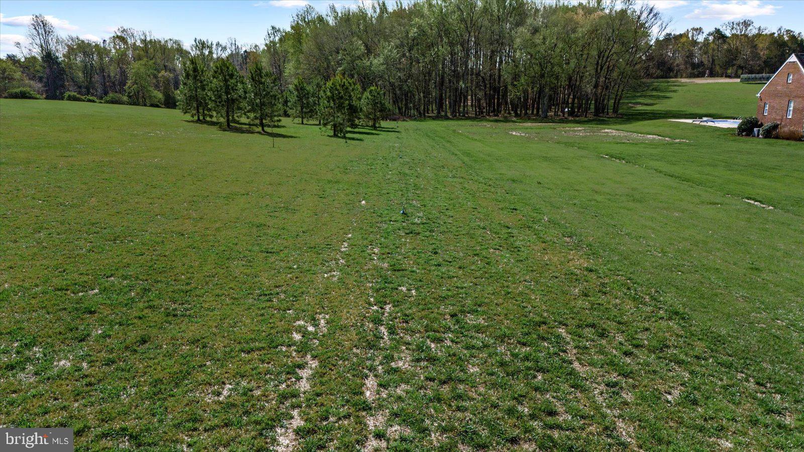 16211 Parrish Farm Road Montpelier, VA 23192 - Photo 41 of 52 Expansive green landscape awaits you.