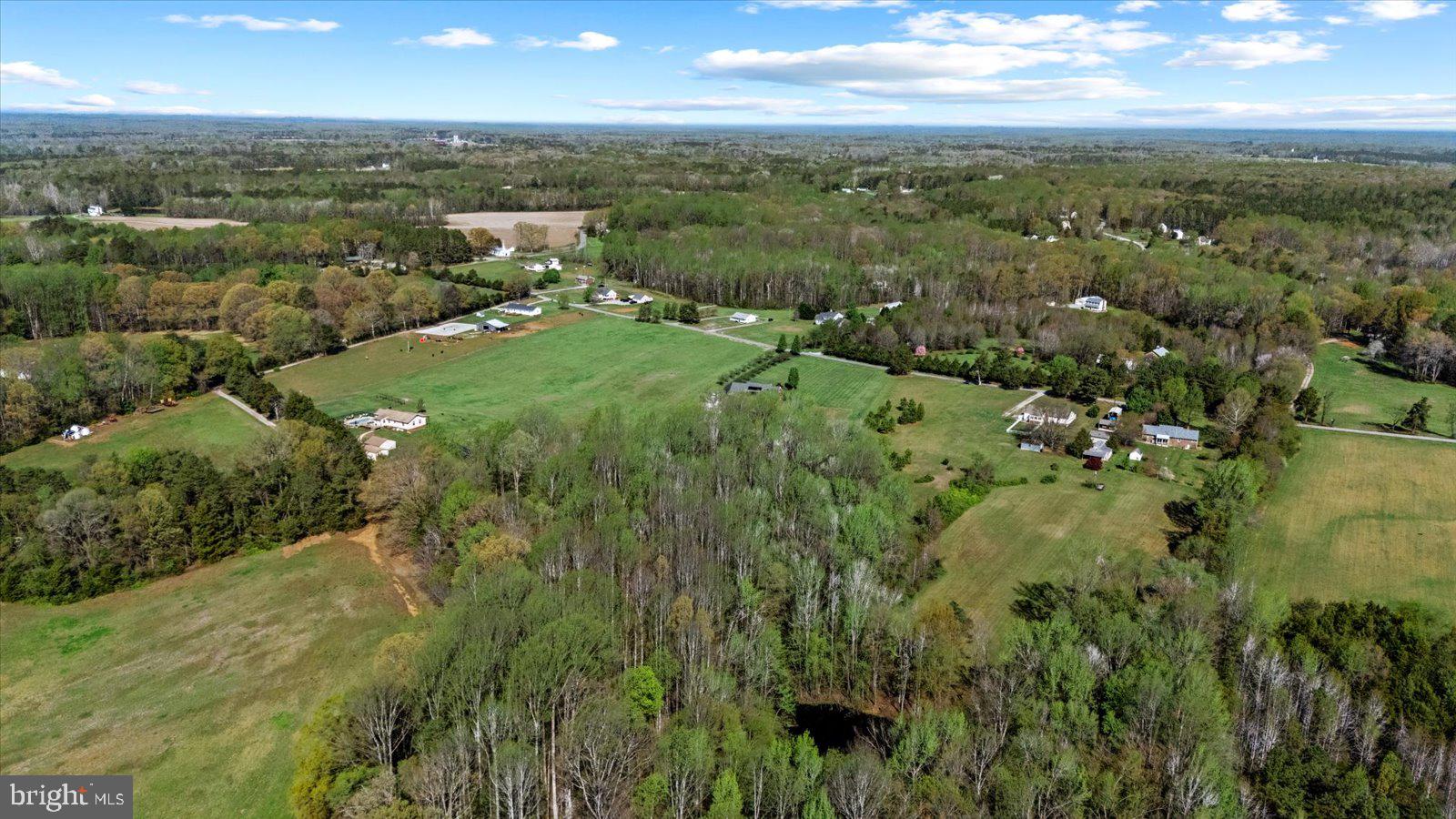 16211 Parrish Farm Road Montpelier, VA 23192 - Photo 49 of 52 Expansive green fields and serene woods.
