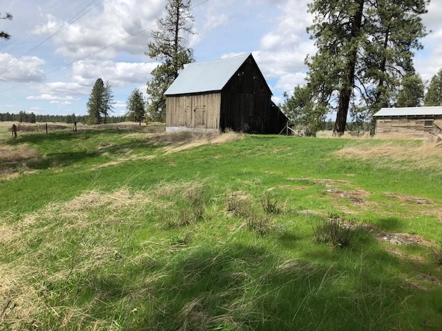 16409 South Graham Road Cheney, WA 99004 - Photo 11 of 19
