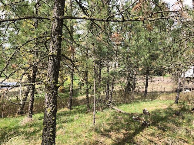 16409 South Graham Road Cheney, WA 99004 - Photo 13 of 19