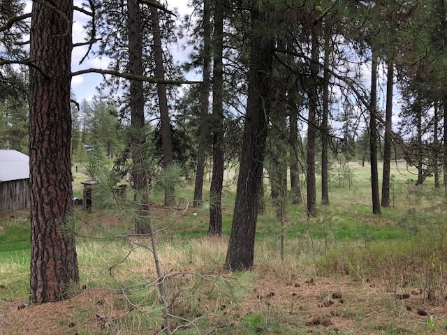 16409 South Graham Road Cheney, WA 99004 - Photo 15 of 19