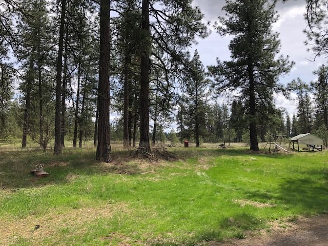 16409 South Graham Road Cheney, WA 99004 - Photo 17 of 19