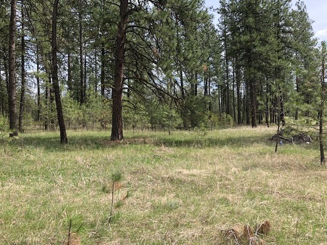16409 South Graham Road Cheney, WA 99004 - Photo 18 of 19