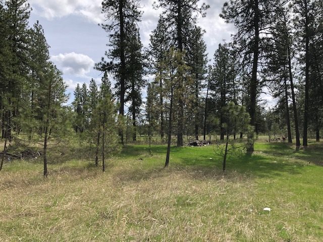 16409 South Graham Road Cheney, WA 99004 - Photo 19 of 19