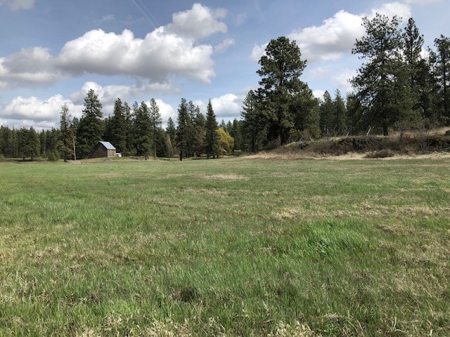 16409 South Graham Road Cheney, WA 99004 - Photo 4 of 19