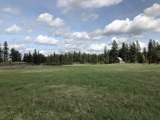 16409 South Graham Road Cheney, WA 99004 - Photo 6 of 19