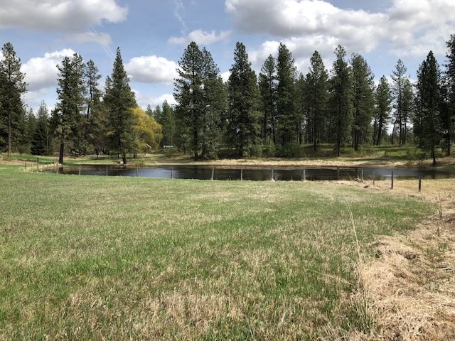 16409 South Graham Road Cheney, WA 99004 - Photo 7 of 19