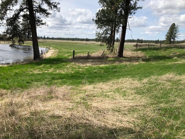 16409 South Graham Road Cheney, WA 99004 - Photo 9 of 19