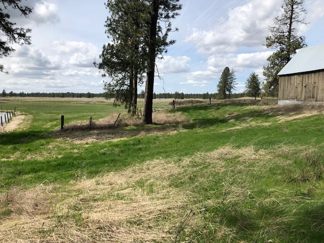 16409 South Graham Road Cheney, WA 99004 - Photo 10 of 19