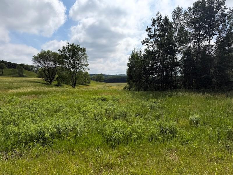 Lot 2 County Road Boyceville, WI 54725 - Photo 5 of 12