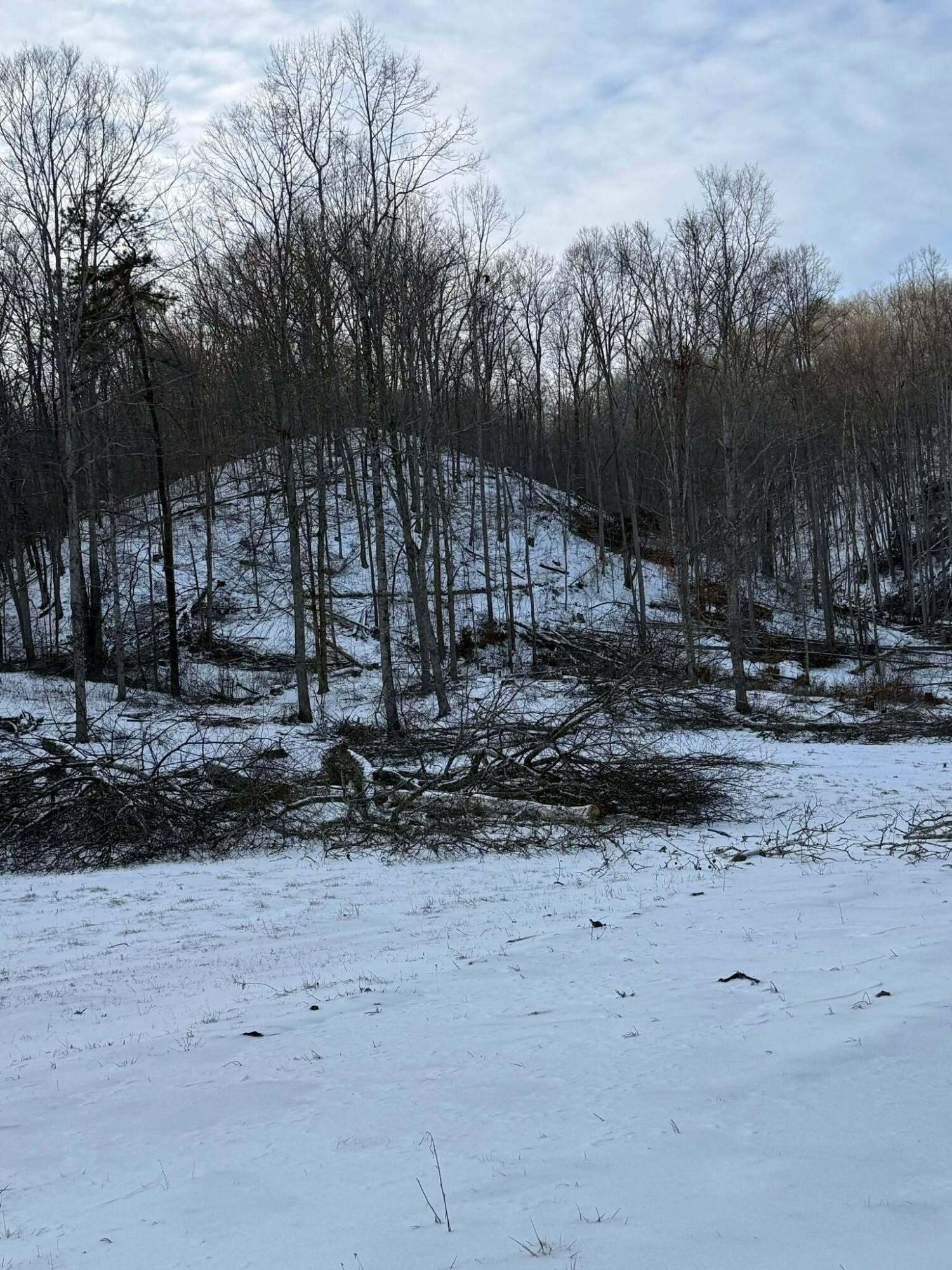 0 Big Perry Road Morehead, KY 40351 - Photo 2 of 12 621589950_1418956179580270_1174873624959
