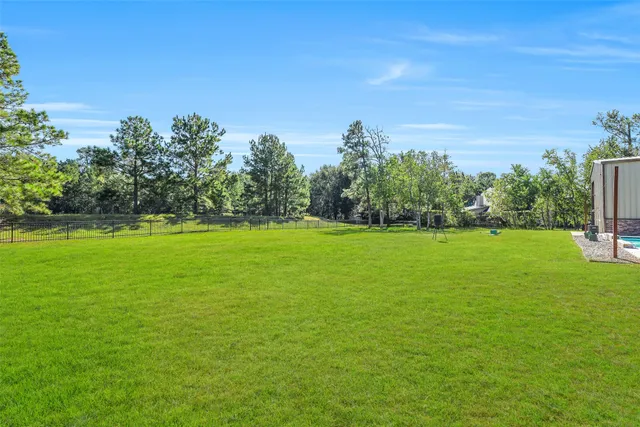 a view of field with tall trees