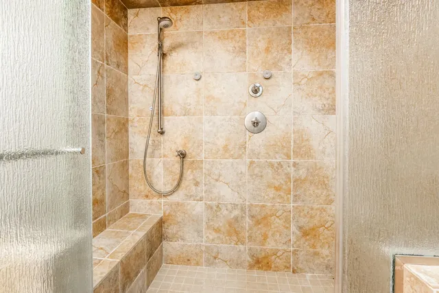 a view of a trees with a tree