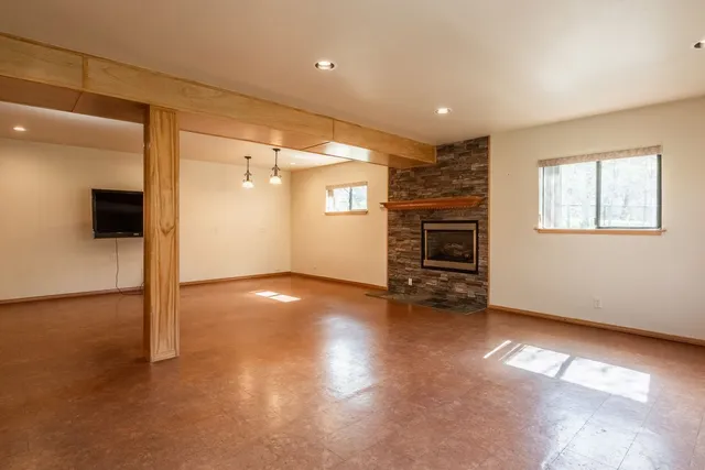 a view of a lush green forest with trees in the background