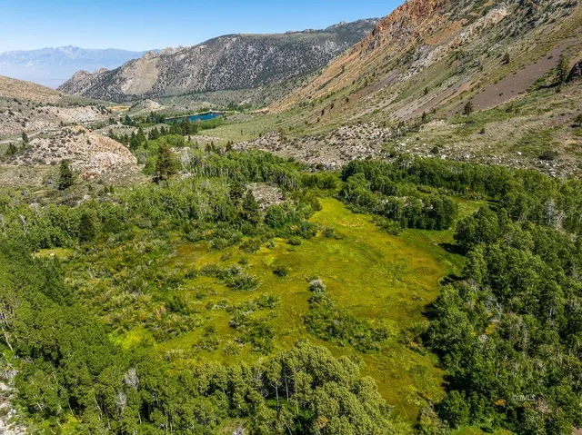 $912,000 | 141 Sage Drive, Aspendell, CA 93514