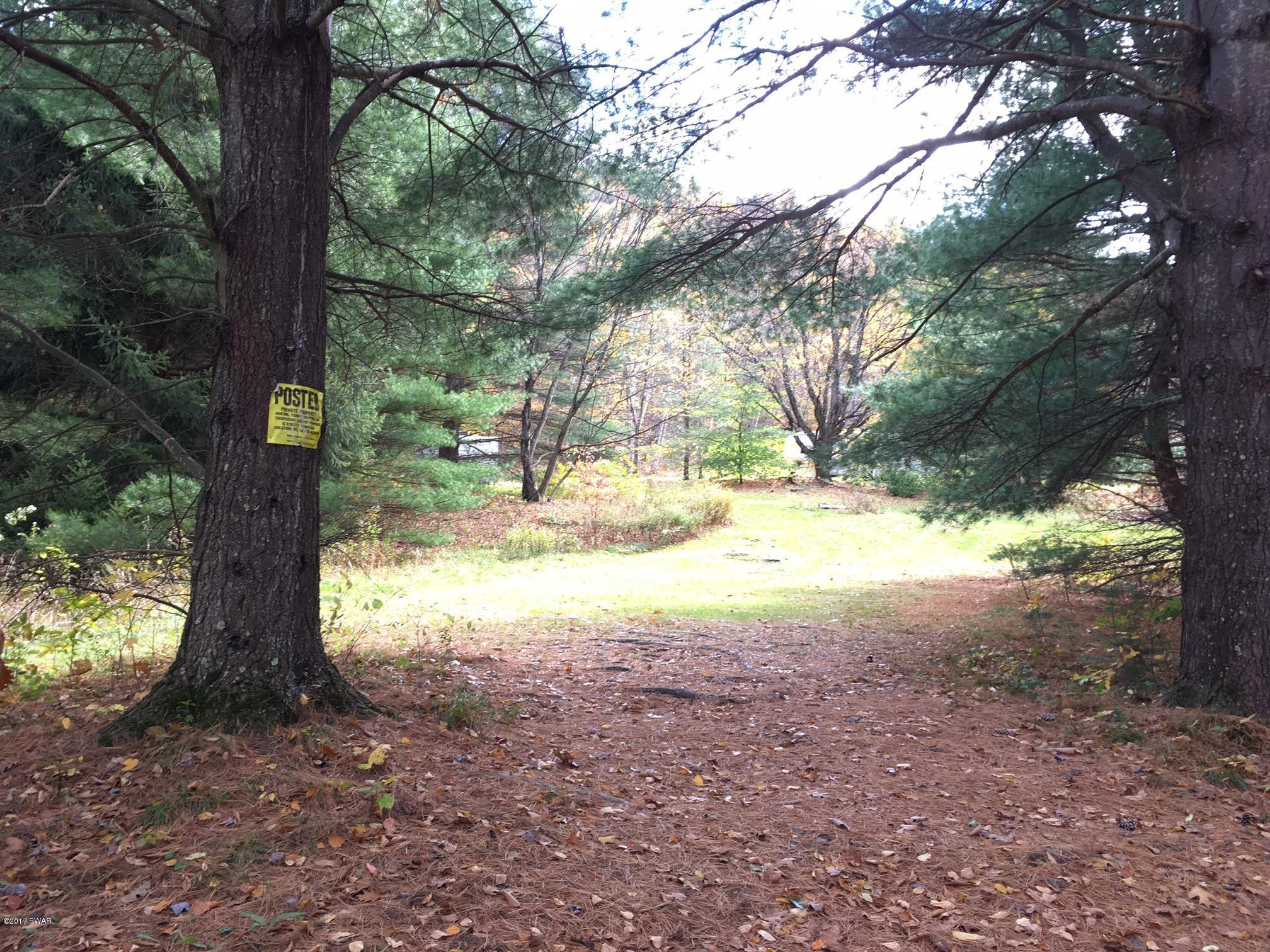 896 Peters Road Hancock, NY 13783 - Photo 7 of 11