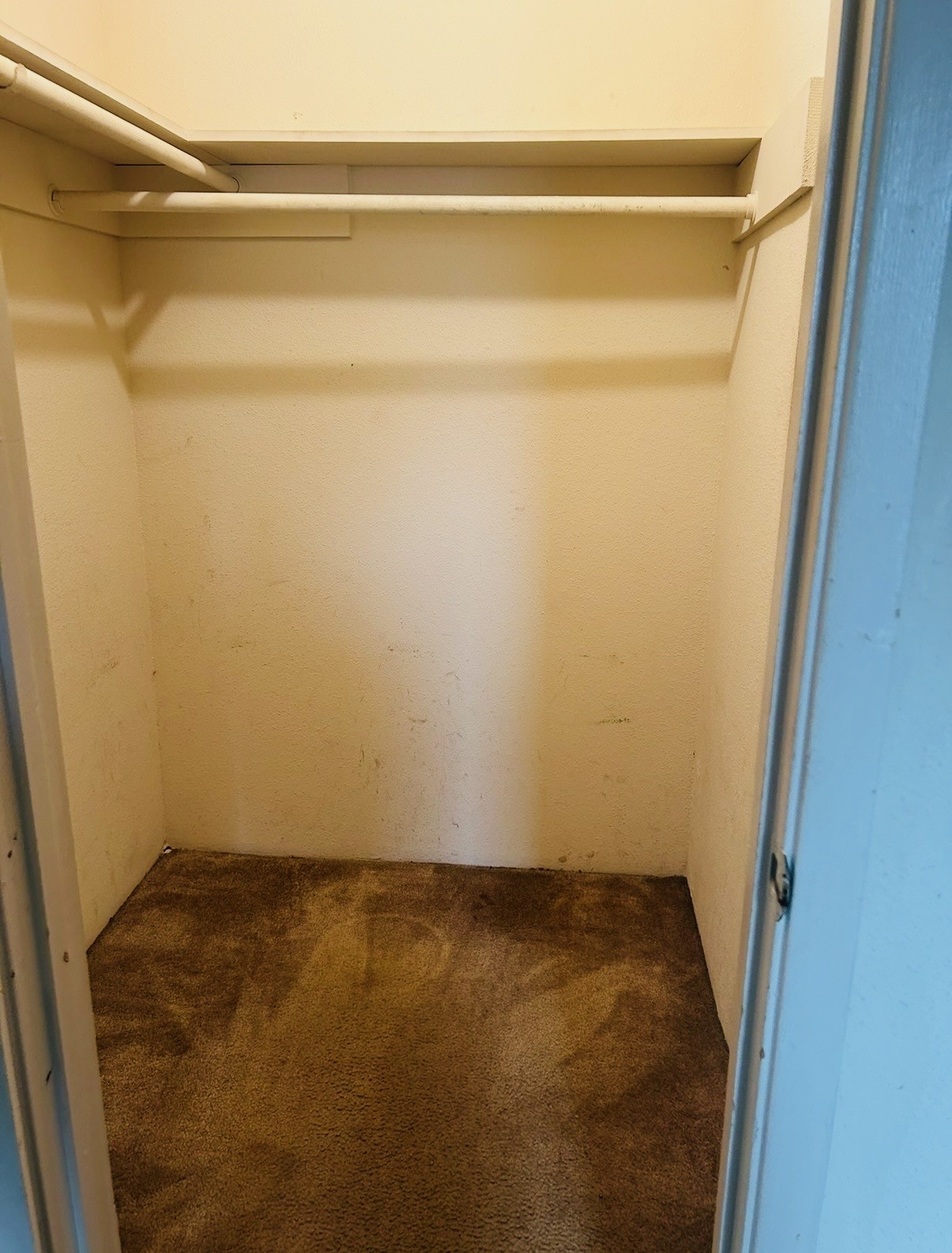 6161 Reims Road, Unit 1013 Houston, TX 77036 - Photo 8 of 11