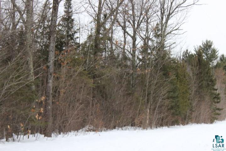 4278 South Wuori Road Maple, WI 54854 - Photo 11 of 20