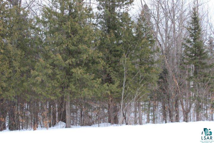 4278 South Wuori Road Maple, WI 54854 - Photo 14 of 20