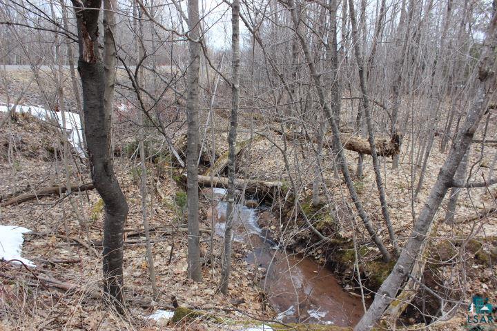 4278 South Wuori Road Maple, WI 54854 - Photo 2 of 20