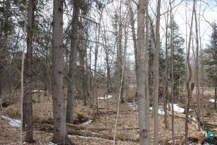 4278 South Wuori Road Maple, WI 54854 - Photo 3 of 20