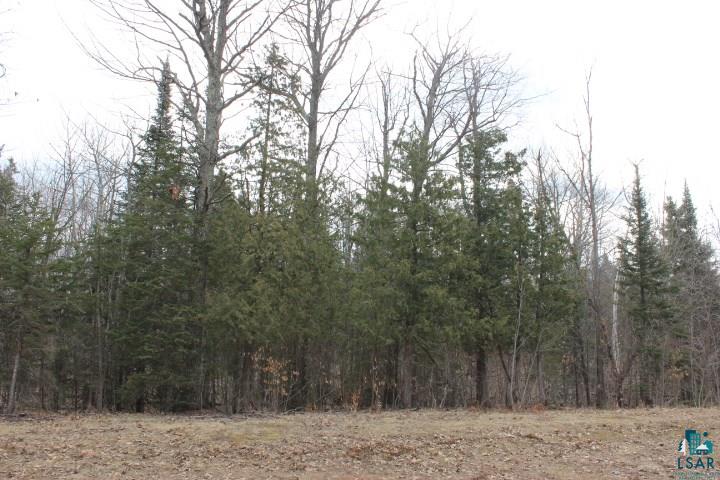 4278 South Wuori Road Maple, WI 54854 - Photo 7 of 20