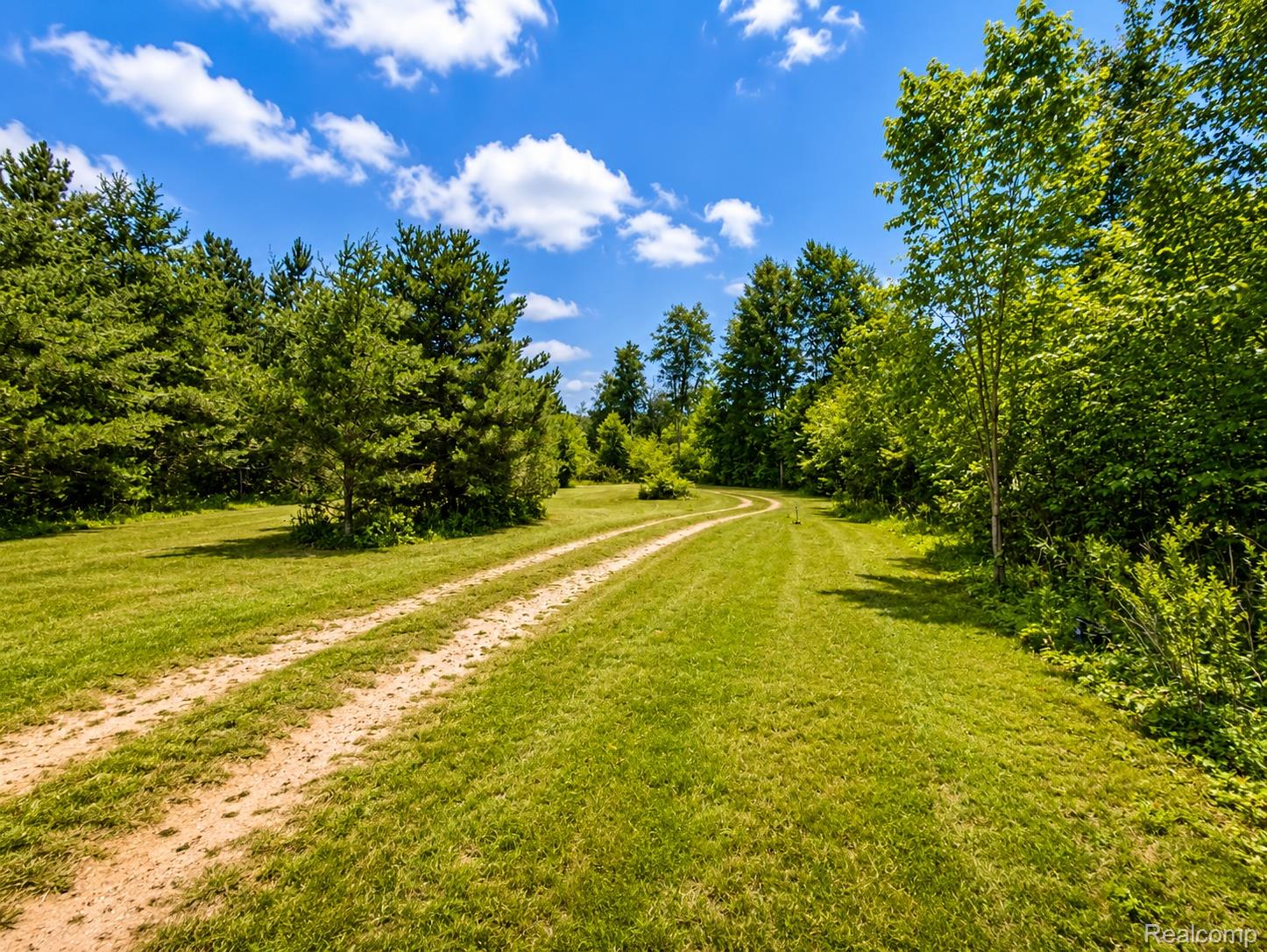 643 North Hockaday Road Gladwin, MI 48624 - Photo 24 of 24 Expansive green lawn with a curving natural path, bordered by mature deciduous and coniferous trees