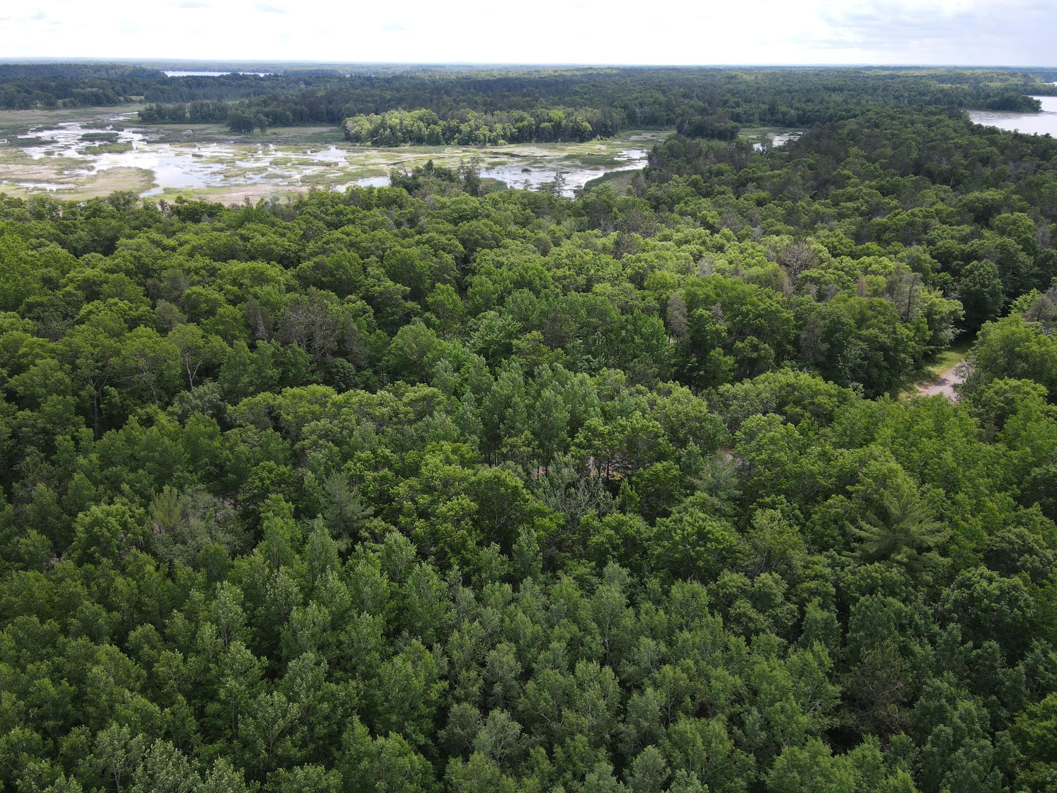 Lot 15 Loon Lake Road Danbury, WI 54830 - Photo 17 of 20