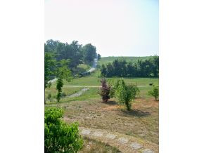 305 Cedar Crest Road Mosheim, TN 37818 - Photo 3 of 18 Photo 3