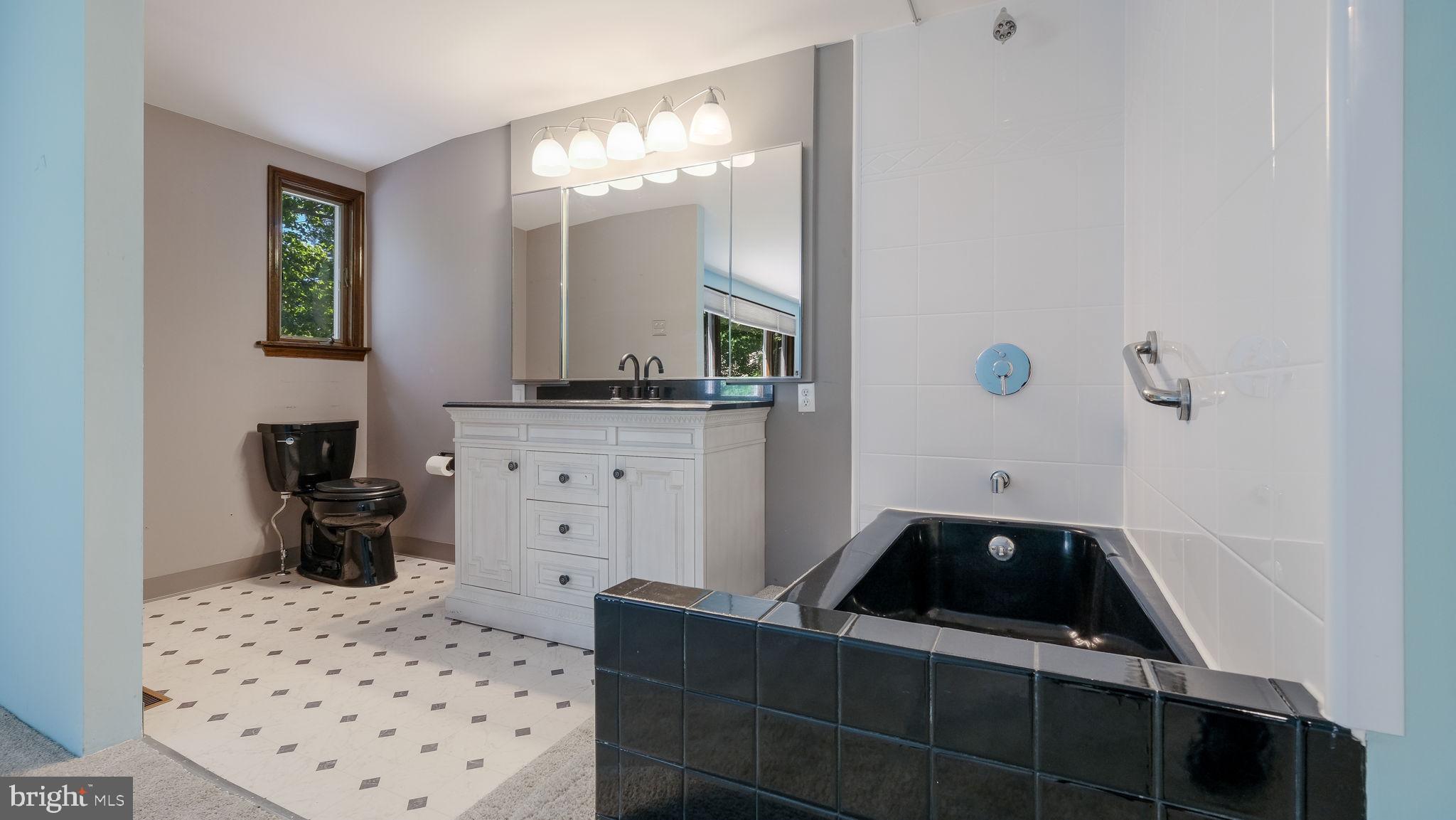 2775 Red Gate Drive Doylestown, PA 18902 - Photo 30 of 38 a bathroom with a sink a toilet and a mirror
