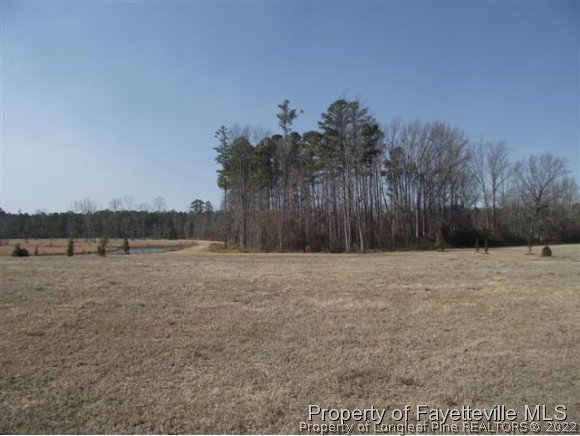 22 Lasater Road Bunnlevel, NC 28323 - Photo 1 of 4 Gallery Image 1