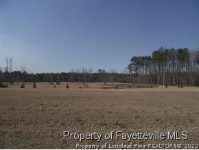 22 Lasater Road Bunnlevel, NC 28323 - Photo 4 of 4 Gallery Image 4