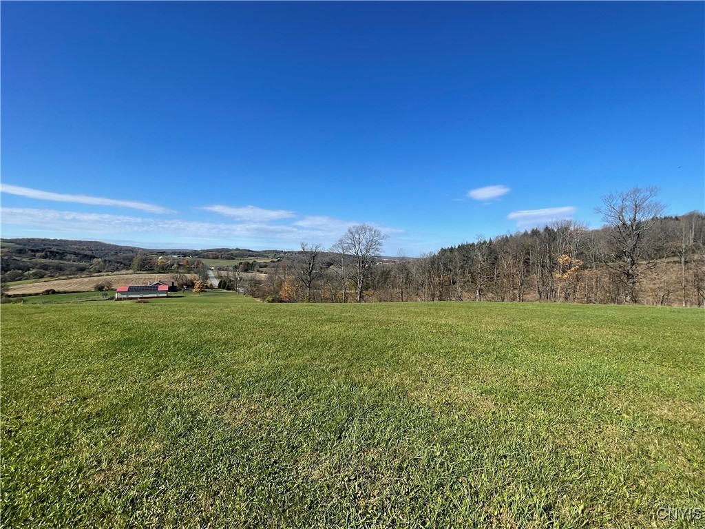 0 Hart Road Morrisville, NY 13408 - Photo 2 of 12