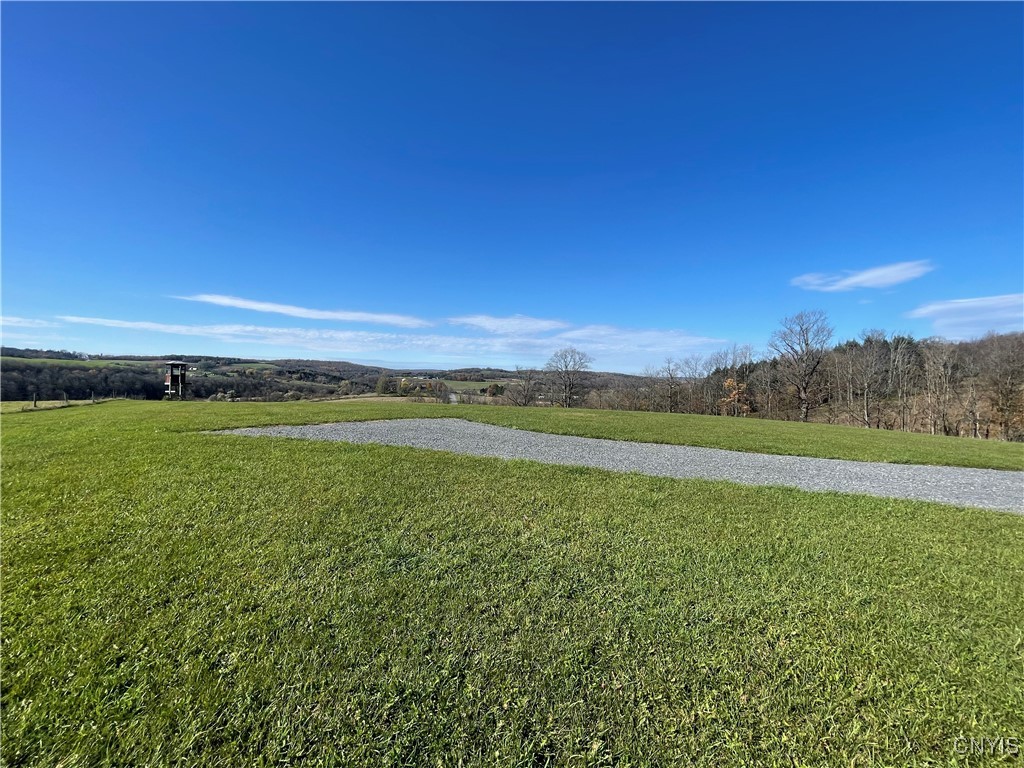 0 Hart Road Morrisville, NY 13408 - Photo 8 of 12