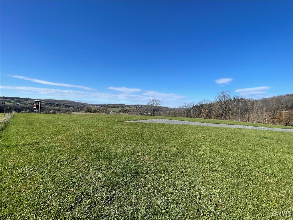 0 Hart Road Morrisville, NY 13408 - Photo 10 of 12