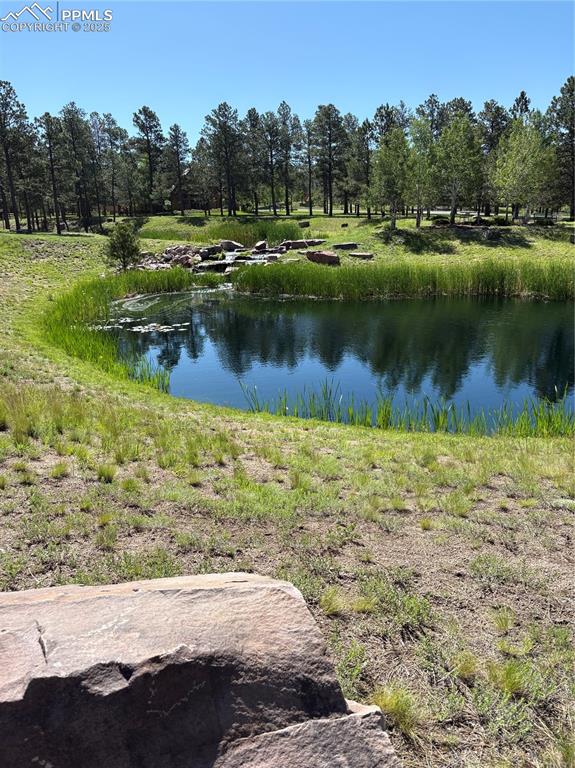 5070 Vessey Road Colorado Springs, CO 80908 - Photo 37 of 49 Water view near the lodge- fishing pond