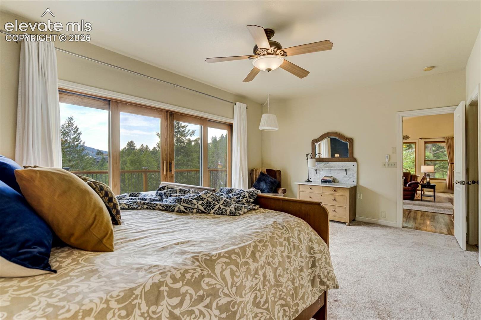 5545 Scout Rdg Trail Cascade, CO 80809 - Photo 25 of 50 Gallery Image 25