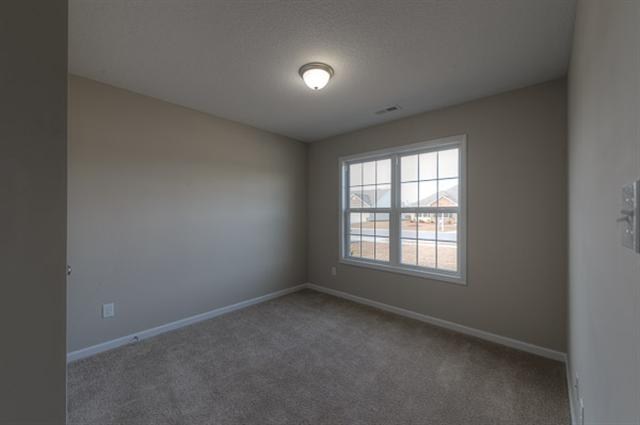 292 Merin Height Road Jacksonville, NC 28546 - Photo 9 of 14 Additional Photo