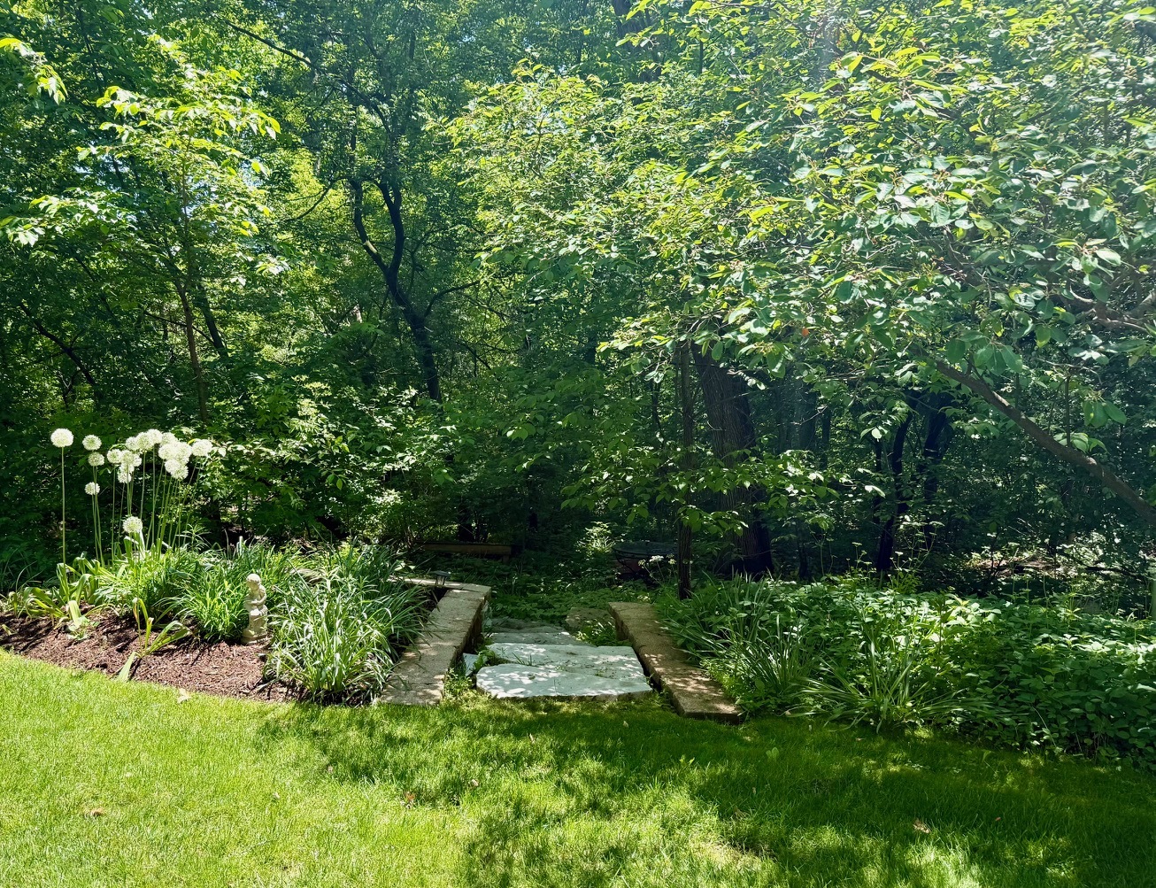 37W305 Crane Road St. Charles, IL 60175 - Photo 8 of 12