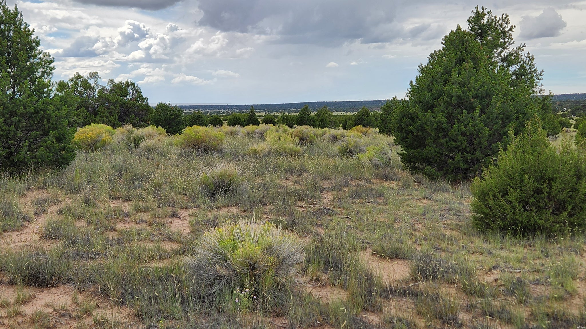 73 Tonto Pass Road Quemado, NM 87829 - Photo 3 of 10 Gallery Image 3