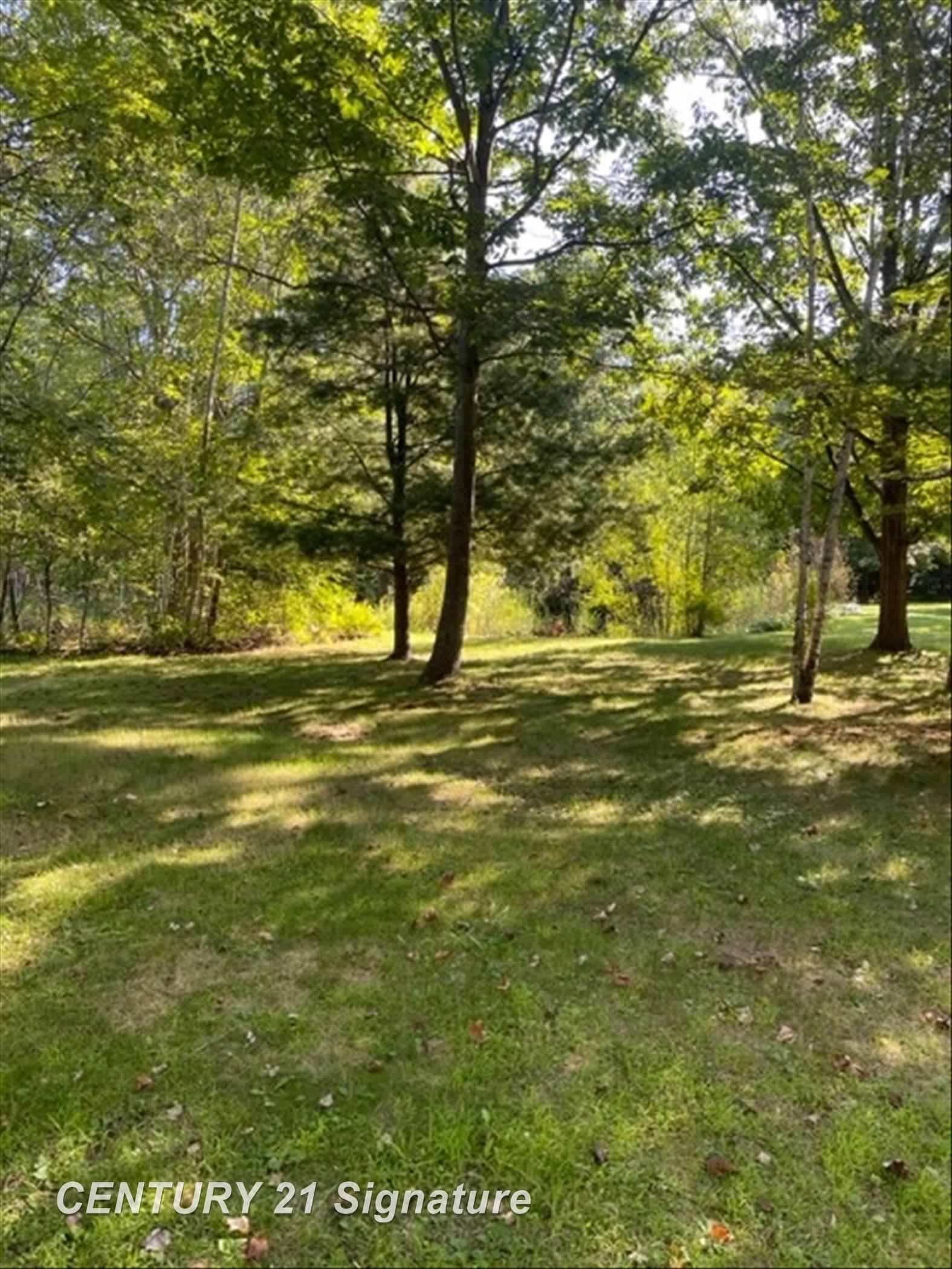 3607 Wieman Road Beaverton, MI 48612 - Photo 51 of 67