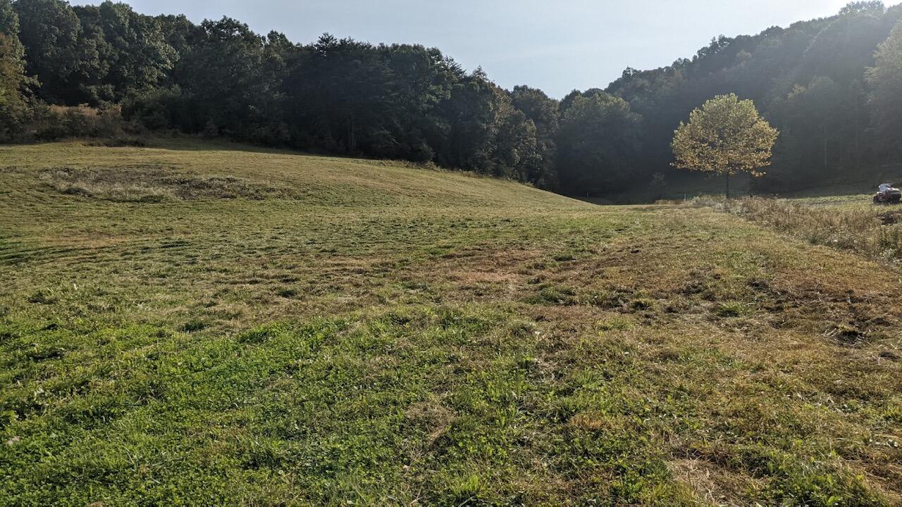 2128 Taylor School Road London, KY 40741 - Photo 15 of 26 3