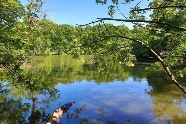 99 Pond Avenue, Unit PH804 Brookline, MA 02445 - Photo 18 of 19