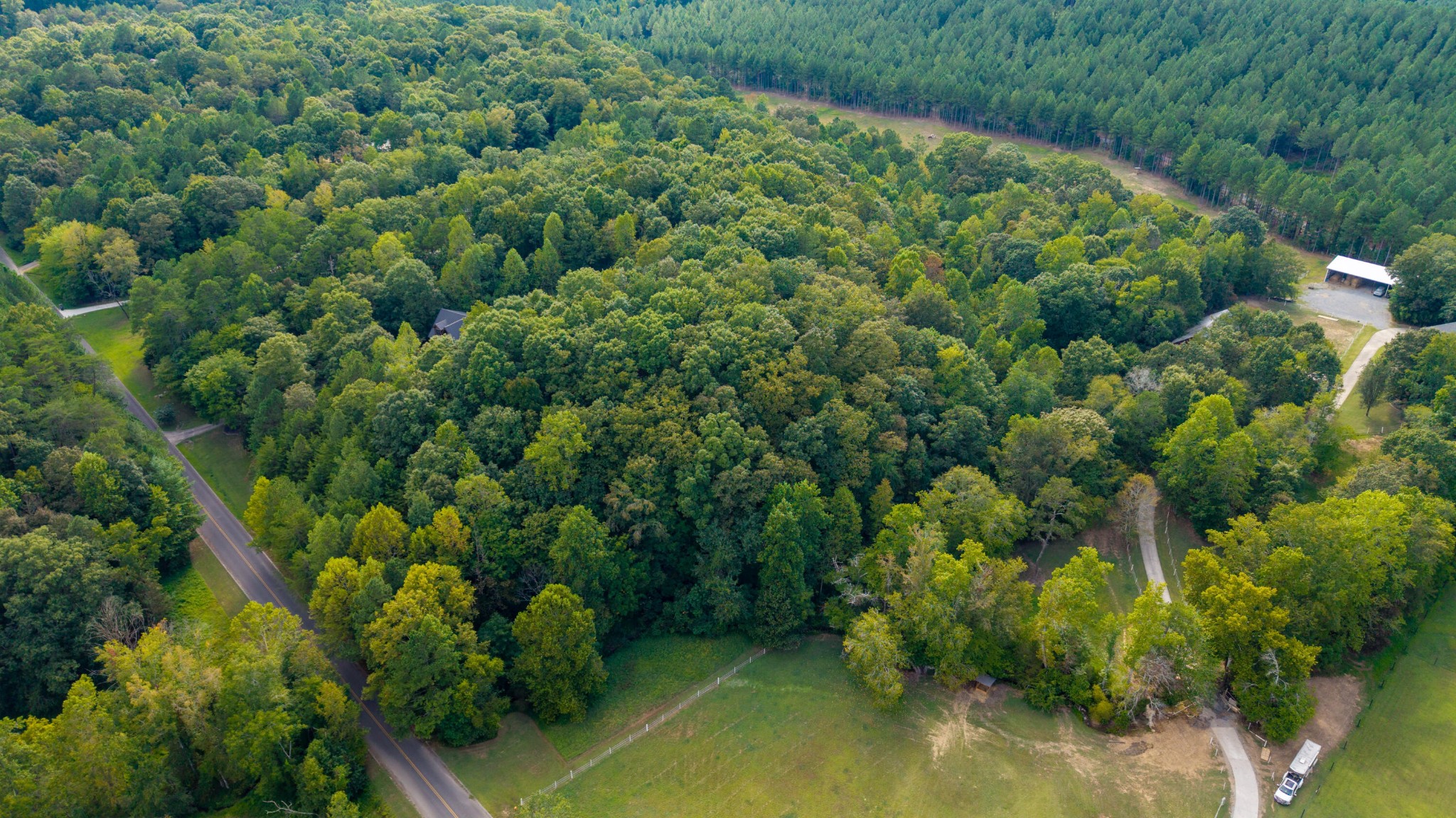 493 Mowery Circle Charleston, TN 37310 - Photo 14 of 14 a view of a garden