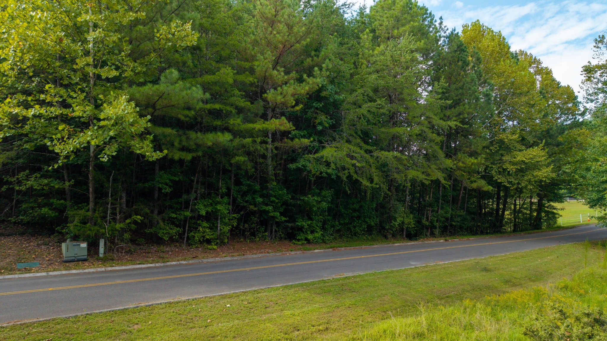 493 Mowery Circle Charleston, TN 37310 - Photo 2 of 14 a view of a yard with a trees