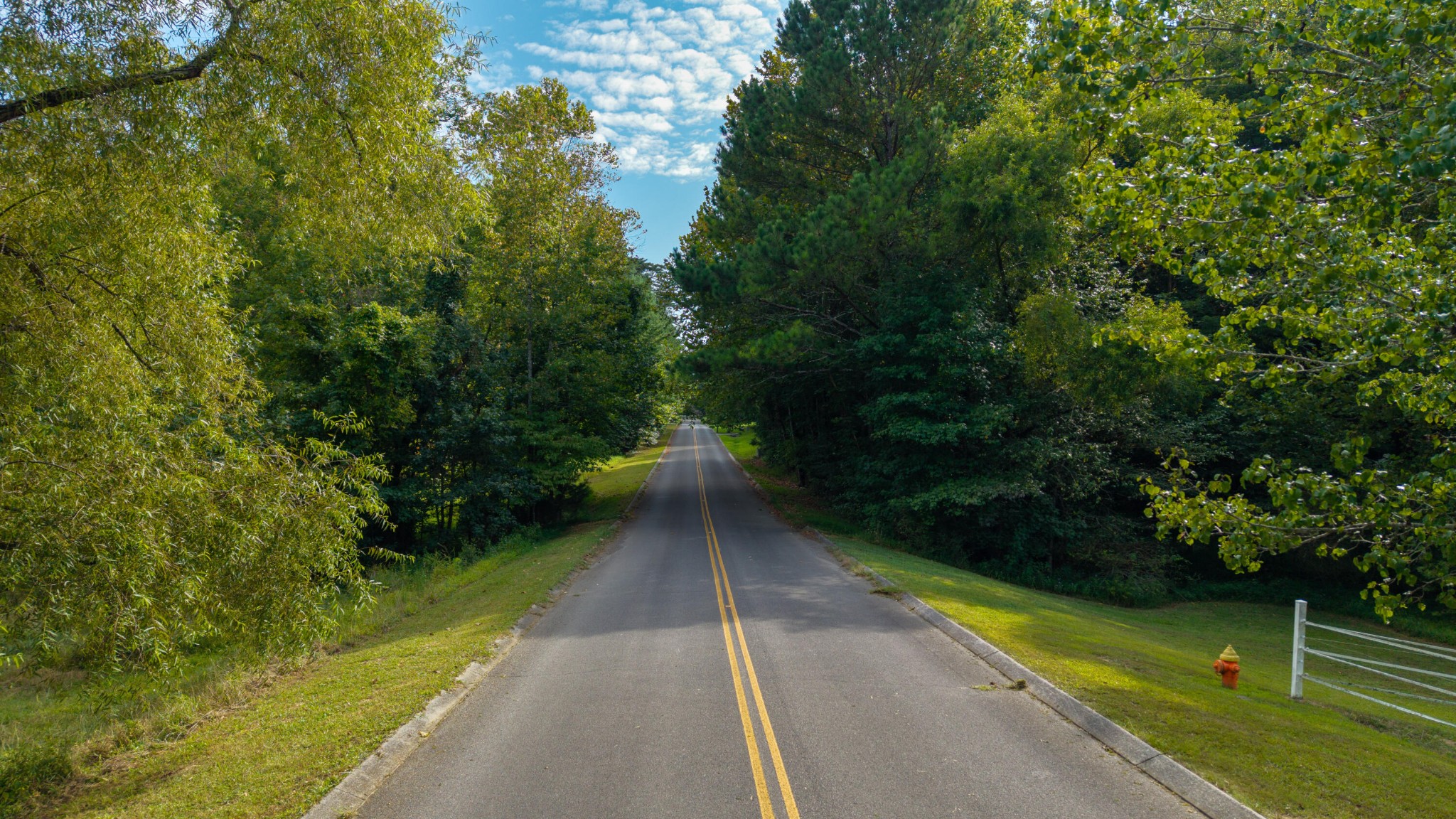 493 Mowery Circle Charleston, TN 37310 - Photo 5 of 14 a view of a pathway both side of yard