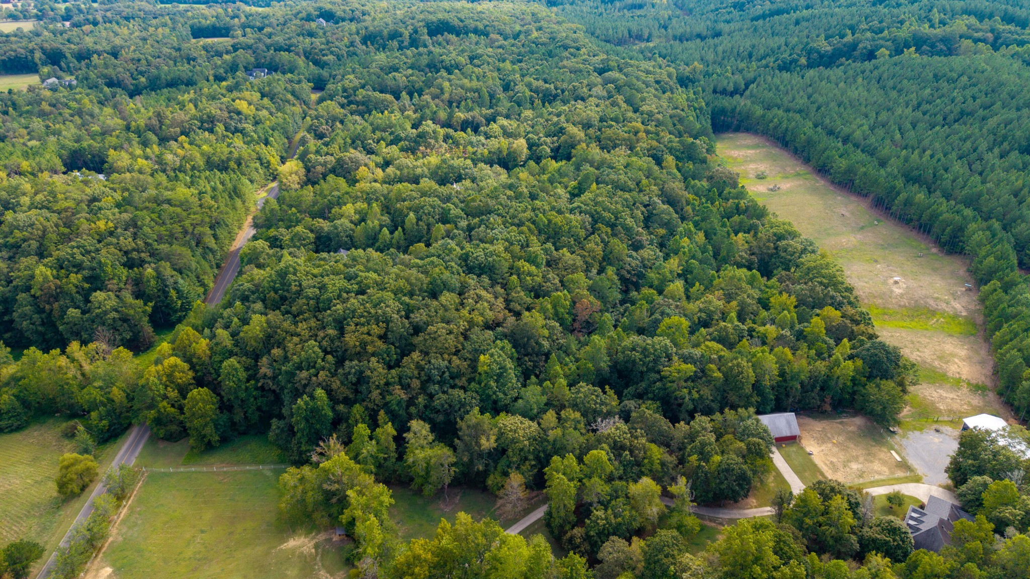 493 Mowery Circle Charleston, TN 37310 - Photo 6 of 14 a view of a yard